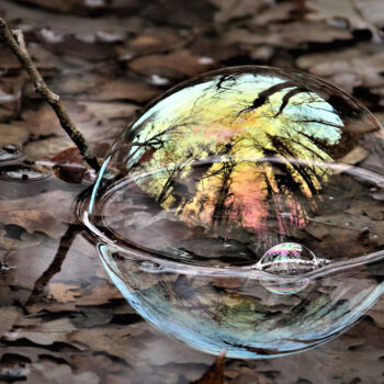 Photographie intitulée "Refuge" par Patrick Vincent, Œuvre d'art originale, Photographie numérique Monté sur Aluminium