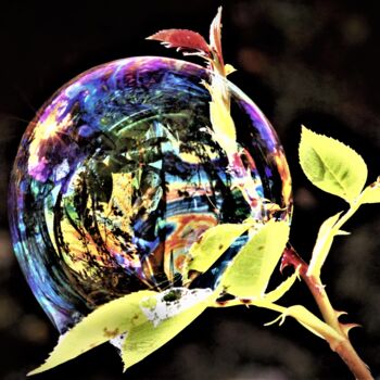 Photographie intitulée "Flamboyante" par Patrick Vincent, Œuvre d'art originale, Photographie numérique Monté sur Aluminium