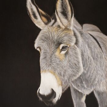 Drawing titled "Le petit grison" by Michel Guillet, Original Artwork, Pastel