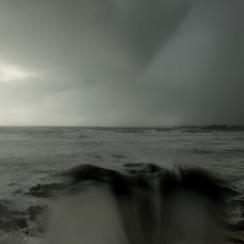 Fotografie getiteld "Et une mouette pass…" door Philippe Berthier, Origineel Kunstwerk, Digitale fotografie
