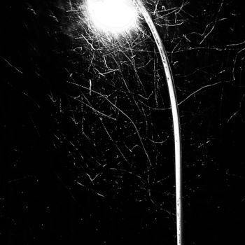 Photography titled "Two-tone winter 2" by Alexander Tarasenkov, Original Artwork, Non Manipulated Photography