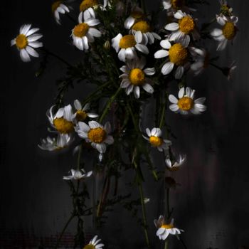 Photography titled "Jardín" by Sandra Platas Hernández, Original Artwork, Digital Photography
