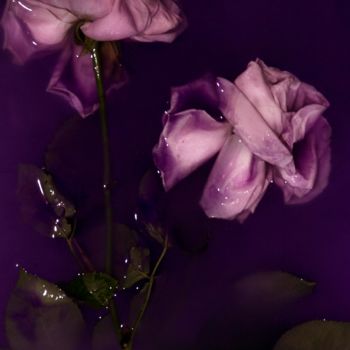 Photography titled "Le Violet" by Sandra Platas Hernández, Original Artwork, Digital Photography