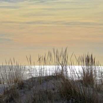 Photographie intitulée "Reeds in Sand" par Leo Tujak, Œuvre d'art originale, Photographie numérique