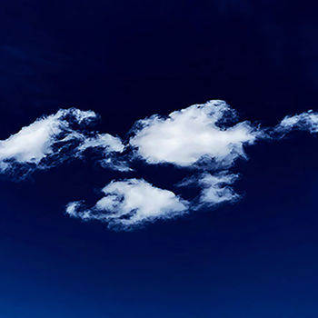 Photography titled "Migration" by Martin Vallis, Original Artwork, Digital Photography