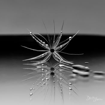 Photographie intitulée "Psyché" par Blandine Legros, Œuvre d'art originale, Photographie non manipulée