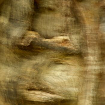 Photographie intitulée "Tronc d'arbre....." par Philippe Berthier, Œuvre d'art originale, Photographie numérique