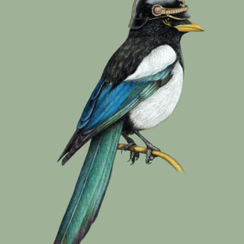 Disegno intitolato "Yellow-billed magpie" da Mikhail Vedernikov, Opera d'arte originale, Pastello