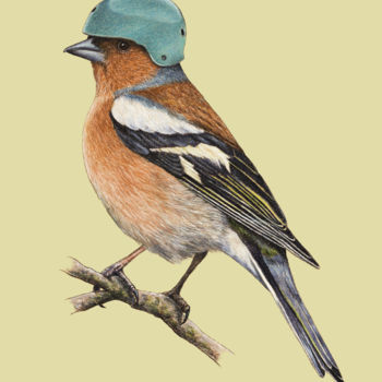 Tekening getiteld "Chaffinch" door Mikhail Vedernikov, Origineel Kunstwerk, Pastel