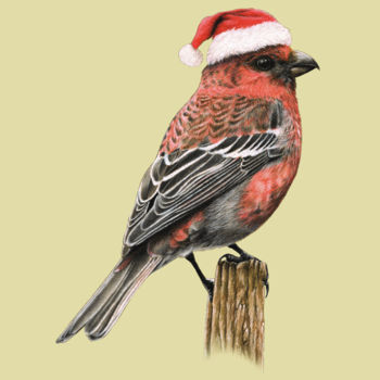 Tekening getiteld "Pine Grosbeak" door Mikhail Vedernikov, Origineel Kunstwerk, Pastel