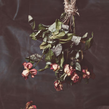 Photography titled "Rosas Colgantes" by Sandra Platas Hernández, Original Artwork, Digital Photography