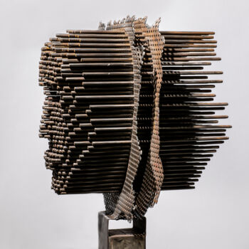 Sculptuur getiteld "Apparence's" door Vincent Fons, Origineel Kunstwerk, Metalen