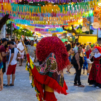 Fotografía titulada "Caboclo de Lança -…" por Breno Pessoa, Obra de arte original, Fotografía digital