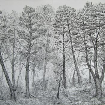 Drawing titled "Woodland I" by Isabelle Stagg, Original Artwork, Ink