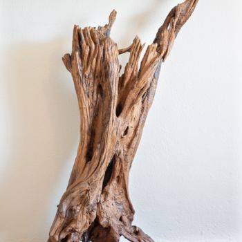 雕塑 标题为“Acacia root sculptu…” 由Jozef Sedmak, 原创艺术品, 木