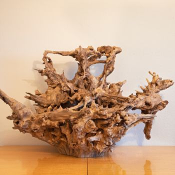 雕塑 标题为“Acacia root sculptu…” 由Jozef Sedmak, 原创艺术品, 木