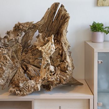 「Oak decorative root…」というタイトルの彫刻 Jozef Sedmakによって, オリジナルのアートワーク, ウッド