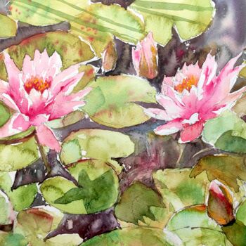 제목이 "Pink Waterlilies in…"인 미술작품 Ibolya Taligas로, 원작, 수채화