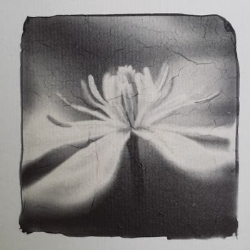 Photography titled "Proud - Lift Emulsi…" by Ava Bob, Original Artwork, Manipulated Photography