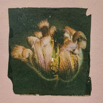 Photography titled "Ugly - Emulsion Lift" by Ava Bob, Original Artwork, Manipulated Photography