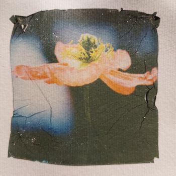 Photography titled "Reddish - Emulsion…" by Ava Bob, Original Artwork, Manipulated Photography