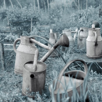 Photography titled "Arrosoirs III" by Jeanpaul Zak, Original Artwork, Analog photography