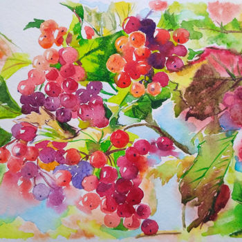 Pintura intitulada "Viburnum" por Olga Larina, Obras de arte originais, Aquarela