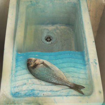 Photographie intitulée "Dorada en blaus" par Marc Cuxart, Œuvre d'art originale, Photographie numérique