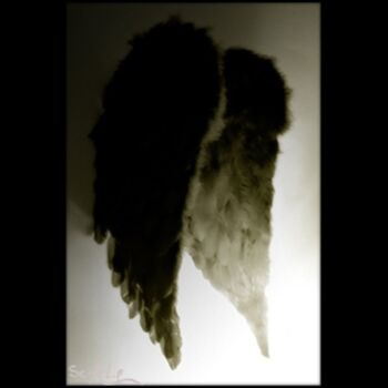 Photography titled "WINGS" by Scalp, Original Artwork
