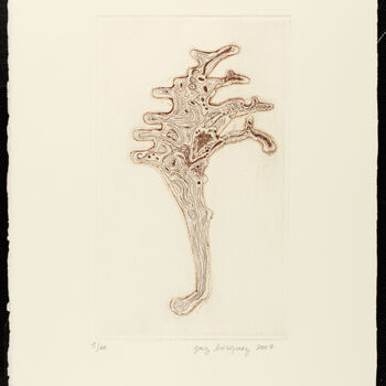 Printmaking titled "«Cartographie (piri…" by Paz Borquez-Chevallier , Original Artwork, Etching