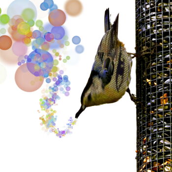 Digital Arts titled "Sing for it" by Blamemrken, Original Artwork, Manipulated Photography