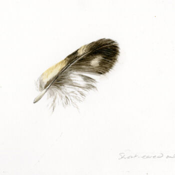Malerei mit dem Titel "Short eared owl fea…" von Una Hurst, Original-Kunstwerk, Aquarell