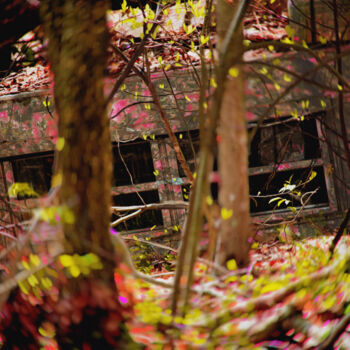 Photography titled "Utopia" by Blamemrken, Original Artwork, Manipulated Photography