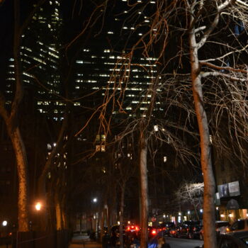 Photographie intitulée "New York 20" par Nana Plamadeala-Kiritchenko, Œuvre d'art originale, Photographie non manipulée