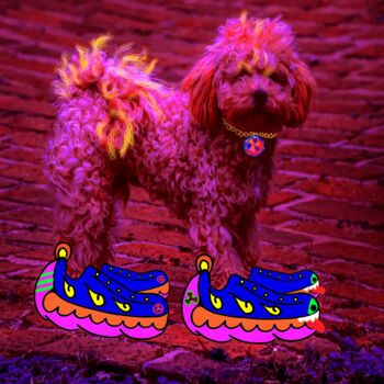 「Sneakerhead poodle…」というタイトルのデジタルアーツ Blamemrkenによって, オリジナルのアートワーク, デジタル絵画