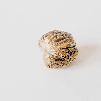 Sculpture titled "Golden Walnut" by Jaromir Gargulak, Original Artwork, Bronze