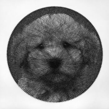Textile Art με τίτλο "Cockapoo puppy stri…" από Andrey Saharov, Αυθεντικά έργα τέχνης, Νήμα