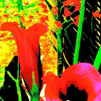 摄影 标题为“Flower Arrangement…” 由Ken Lerner, 原创艺术品, 数码摄影