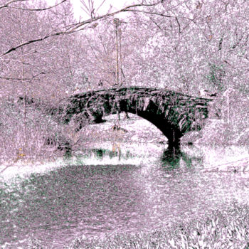 Φωτογραφία με τίτλο "Central Park - Bow…" από Ken Lerner, Αυθεντικά έργα τέχνης, Ψηφιακή φωτογραφία