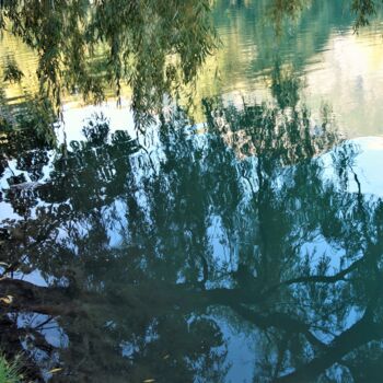 Photography titled "Aquatic tree Série 1" by Marie Marlène Mahalatchimy, Original Artwork, Digital Photography