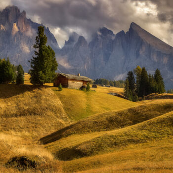 Photography titled "On a mountain meado…" by Martin Kucera, Original Artwork, Digital Photography