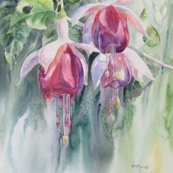 Painting titled "Les fuchsias" by Danièle Fraboulet, Original Artwork, Watercolor