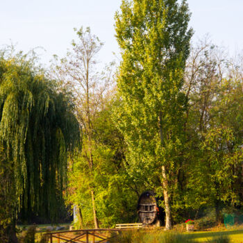 Photography titled "Blodelsheim bucoliq…" by Paulo Viana, Original Artwork, Digital Photography