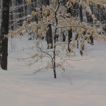 Photography titled "Frénésie de l'hiver" by Carl Legault, Original Artwork, Digital Photography Mounted on Wood Stretcher fr…