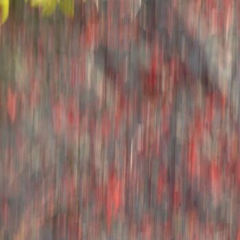 Photographie intitulée "les Saisons 73" par Nana Plamadeala-Kiritchenko, Œuvre d'art originale, Photographie non manipulée M…