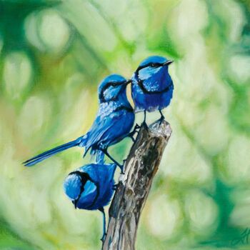 Malerei mit dem Titel "The Blue Fairy Wrens" von Helen Mitra, Original-Kunstwerk, Öl