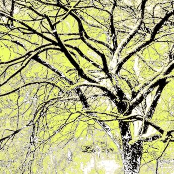 Photographie intitulée "A Tree in Central P…" par Ken Lerner, Œuvre d'art originale, Photographie numérique