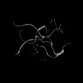 数字艺术 标题为“biomorph series 002” 由John Chan, 原创艺术品, 2D数字工作