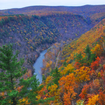 Photographie intitulée "Fall in the Pennsyl…" par Phillip Windell, Œuvre d'art originale, Photographie numérique