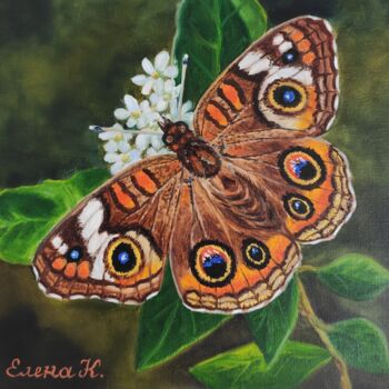 Pintura titulada "Junonia butterfly" por Elena Kozyutenko, Obra de arte original, Oleo Montado en Cartulina
